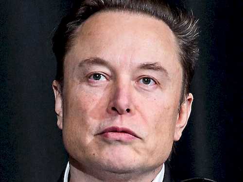 Is Elon Musk Gay?